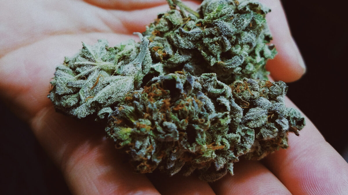 Marihuana, Cannabis, Ganja - was ist Weed? Was ist Marihuana?