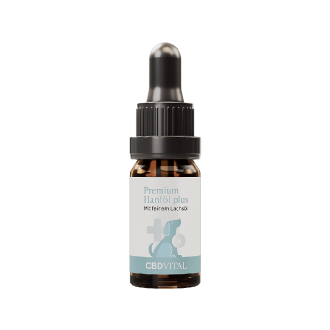 bestes hanföl für hunde, bio cbd öl hund, bio hanföl für hunde, bio hanföl hund, cbd hanföl für hunde, cbd hanföl hund, cbd öl 5 hund, cbd öl beruhigungsmittel hund, cbd öl dosierung hund, cbd öl für den hund, cbd öl für hund, CBD Öl Hund, cbd öl hund 5, cbd öl hund 5 prozent, cbd öl hund angst, cbd öl hund anwendung, cbd öl hund arthrose, cbd öl hund autofahren, cbd öl hund beruhigen, cbd öl hund beruhigung, cbd öl hund demenz, cbd öl hund epilepsie, cbd öl hund erfahrungen, cbd öl hund erfahrungen aggression, cbd öl hund erfahrungen forum, cbd öl hund fressnapf, cbd öl hund gewitter, cbd öl hund kaufen, cbd öl hund krebs, cbd öl hund ruhiger, cbd öl hund schmerzmittel, cbd öl hund schmerzmittel kaufen, cbd öl hund silvester, cbd öl hund tierarzt, cbd öl hund unruhe, cbd öl hund wirkung, cbd öl vollspektrum hund, cbd öl wirkung hund, cbd vital hanföl für hunde, cbd vital premium hanföl plus für hunde, cbdvital premium hanföl plus für hunde, hanföl anwendung hund, hanföl cbd für hunde, hanföl cbd hund, hanföl dosierung hund, hanföl für hunde, hanföl für hunde bei schmerzen, hanföl für hunde dosierung, hanföl für hunde erfahrungen, hanföl für hunde wirkung, hanföl für hunde zur beruhigung, hanföl hund, hanföl hund kaufen, hanföl hund wirkung, hanföl hunde, hanföl mit cbd für hunde, hund cbd öl, hund hanföl, premium hanföl plus für hunde No